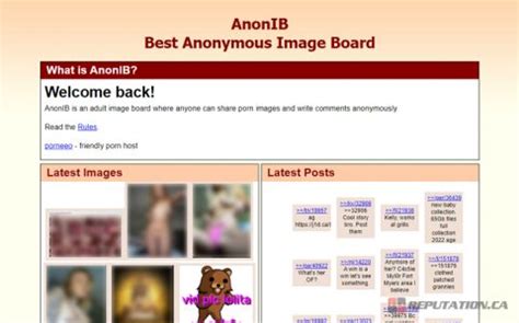 sudbury nude anon|Infamous revenge porn site Anon